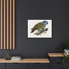 Red-Vented Parrot (Amazona martinicana) colored wood-engraved plate by Alexander Francis Lydon