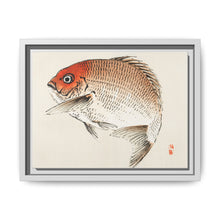Tai (Red Seabream) fish by Kōno Bairei - NOMADEN ART GALLERY