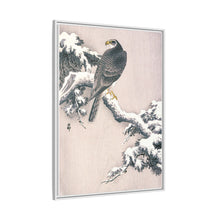 Goshawk on Snow-covered Pine Bough by Ohara Koson (1877–1945)