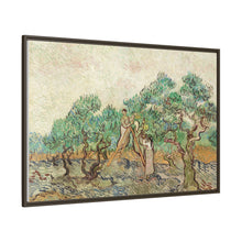 The Olive Orchard (1889) by Vincent van Gogh. Original from The National Gallery of Art. - NOMADEN ART GALLERY