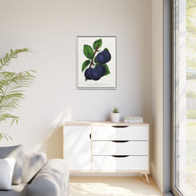 Niagara plum lithograph. Digitally enhanced from our own original 1900 edition plates of Botanical Specimen published by Rochester Lithographing