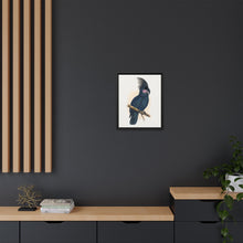 Great Black Cockatoo (Probosciger aterrimus) colored wood-engraved plate by Alexander Francis Lydon