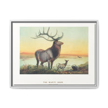 The Wapiti from Zoological sketches (1861-1867) by Joseph Wolf and Philip Lutley Sclater - NOMADEN ART GALLERY