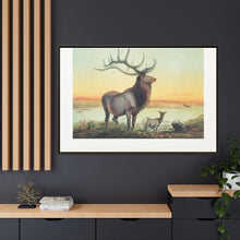 The Wapiti from Zoological sketches (1861-1867) by Joseph Wolf and Philip Lutley Sclater