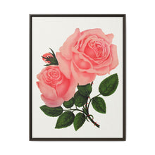 Pink Rose, La France Lithograph (1900) - NOMADEN ART GALLERY