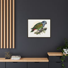 Red-Vented Parrot (Amazona martinicana) colored wood-engraved plate by Alexander Francis Lydon