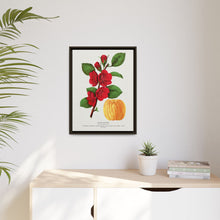 Japan Quince tree lithograph. Digitally enhanced from our own original 1900 edition plates of Botanical Specimen published by Rochester Lithographing