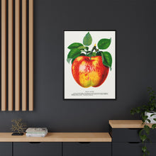 Wolf River Apple Lithograph | Vintage Botanical Wall Art Print