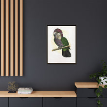 Hawk-Headed Parrot (Deroptyus accipitrinus) colored wood-engraved plate by Alexander Francis Lydon.