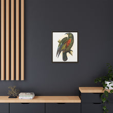 Mountain Parrot (Nestor notabilis) colored wood-engraved plate by Alexander Francis Lydon