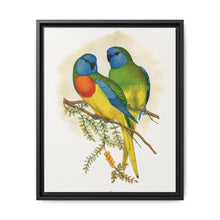 Splendid Parrakeet (Neophema splendida) colored wood-engraved plate by Alexander Francis Lydon - NOMADEN ART GALLERY