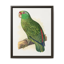 Many-Coloured Parrakeet (Psephotellus varius) colored wood-engraved plate by Alexander Francis Lydon - NOMADEN ART GALLERY
