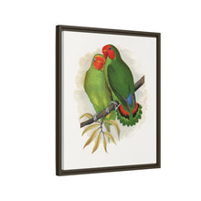 Lydon's West African Love-Bird | Vintage Avian Wall Art Print