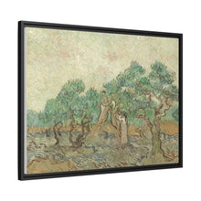 Vincent van Gogh's The Olive Orchard (1889) - NOMADEN ART GALLERY