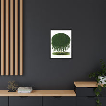 Kilmarnock Weeping Willow tree lithograph. Digitally enhanced from our own original 1900 edition plates of Botanical Specimen published by Rochester Lithographing