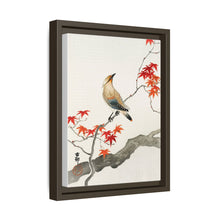 Japanese plague bird on maple (1900 - 1936) by Ohara Koson