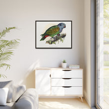 Red-Vented Parrot (Amazona martinicana) colored wood-engraved plate by Alexander Francis Lydon