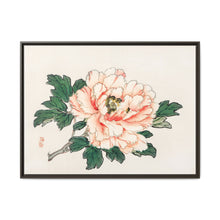 Pink rose by Kōno Bairei (1844-1895) - NOMADEN ART GALLERY