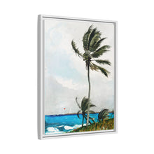Palm Tree, Nassau (1898) by Winslow Homer