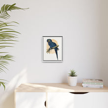 Hyacinthine Macaw (Anodorhynchus hyacinthinus) colored wood-engraved plate by Alexander Francis Lydon.