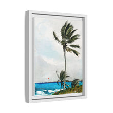 Palm Tree, Nassau (1898) by Winslow Homer