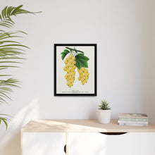 White Grape Lithograph | Vintage Botanical Wall Art Print
