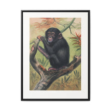 The Chimpanzee from Zoological sketches (1861-1867) by Joseph Wolf and Philip Lutley Sclater. - NOMADEN ART GALLERY