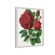 Red Rose, Prince Camille De Rohan Lithograph