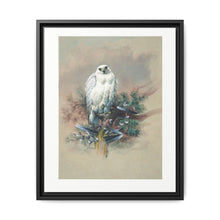 The Greenland Falcon from Zoological sketches (1861-1867) by Joseph Wolf and Philip Lutley Sclater - NOMADEN ART GALLERY
