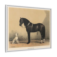 Orloffer (Orloff Horse) by Emil Volkers (1880) - An illustration of a black horse and a white dog - NOMADEN ART GALLERY