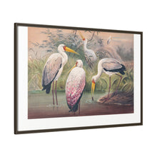 The African Wood Ibis from Zoological sketches (1861-1867) by Joseph Wolf and Philip Lutley Sclater