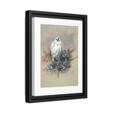 The Greenland Falcon from Zoological sketches (1861-1867) by Joseph Wolf and Philip Lutley Sclater - NOMADEN ART GALLERY