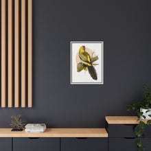 Lydon's Yellow-Rumped Parrakeet | Vintage Bird Wall Art Print