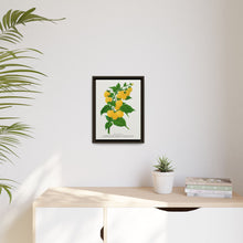 Golden queen raspberry lithograph. Digitally enhanced from our own original 1900 edition plates of Botanical Specimen published by Rochester Lithographing