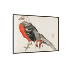 Japanese pheasant by Kōno Bairei (1844-1895)