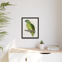 Lydon's Yellow-Naped Amazon | Vintage Parrot Wall Art Print