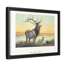 The Wapiti from Zoological sketches (1861-1867) by Joseph Wolf and Philip Lutley Sclater