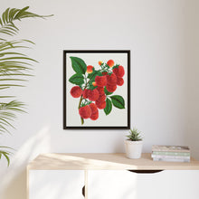Shaffer's Colossal Raspberry Lithograph (1900)