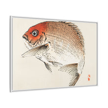 Tai (Red Seabream) fish by Kōno Bairei