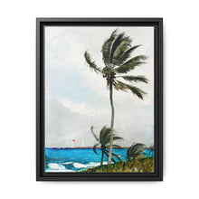 Palm Tree, Nassau (1898) by Winslow Homer - NOMADEN ART GALLERY