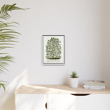 Hardy Magnolia tree lithograph. Digitally enhanced from our own original 1900 edition plates of Botanical Specimen published by Rochester Lithographing