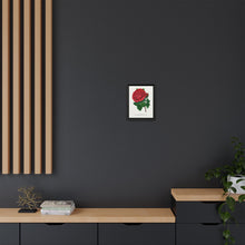 Red rose, American Beauty lithograph. Digitally enhanced from our own original 1900 edition plates of Botanical Specimen published by Rochester Lithographing - NOMADEN ART GALLERY