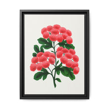 Paul's New Double Flowering Thorn lithograph. Digitally enhanced from our own original 1900 edition plates of Botanical Specimen published by Rochester Lithographing - NOMADEN ART GALLERY