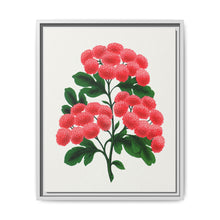 Paul's New Double Flowering Thorn lithograph. Digitally enhanced from our own original 1900 edition plates of Botanical Specimen published by Rochester Lithographing - NOMADEN ART GALLERY