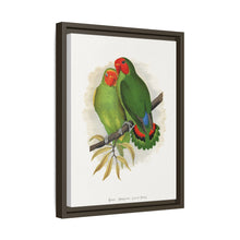 Lydon's West African Love-Bird | Vintage Avian Wall Art Print