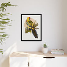 Lydon's Yellow-Rumped Parrakeet | Vintage Bird Wall Art Print
