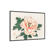 Pink rose by Kōno Bairei (1844-1895)