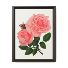 Pink Rose, La France Lithograph (1900) - NOMADEN ART GALLERY