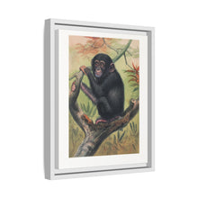 The Chimpanzee from Zoological sketches (1861-1867) by Joseph Wolf and Philip Lutley Sclater.