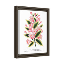 Pink flowers, Weigela lithograph (1900)